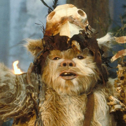 NoDebate-Wanderhomies icon