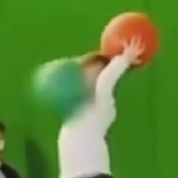 NoSanity-MothsMods icon