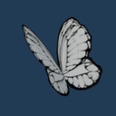 NobodyButAlex-TheFuneralOfTheDeadButterflies icon