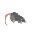 NoirSplash-Ratpack_Suit_Expansion icon