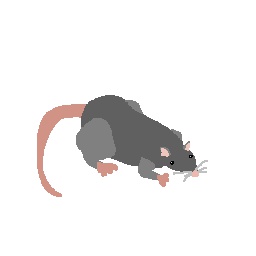 NoirSplash-Ratpack_Suit_Expansion icon