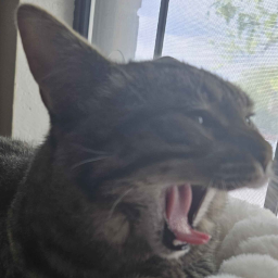 Nordy-NordNFriendsModpack icon