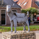 Northmen-Oldeberkoop icon