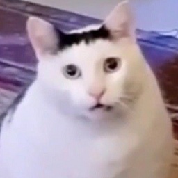 NotBee-bees_modge_pack icon