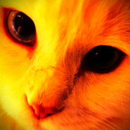 NotChris-NotChrisMemeModpack icon