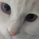 NotChris-NotChrisModpack icon