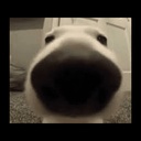 Noteaming-GroupLobotomychatmodpack icon