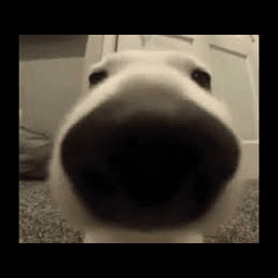 Noteaming-mdkp23 icon