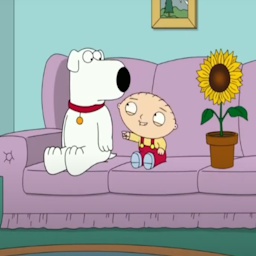 NotezyTeam-Sunflowered icon