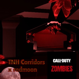 Nuigo_Ftrmarket-TNH_Corridors_CodZombies icon