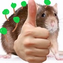 NuketronSweep-7_FOOT_CARDS_NATURE icon