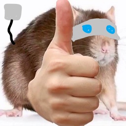 NuketronSweep-7_FOOT_CARDS_TECHNO icon