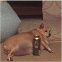 Nutflix-LC_Nutflix_Modpack icon