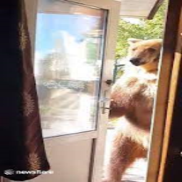 NymphrodsNerds-Nymphrods_Nerds_Suits icon