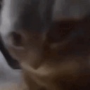 Nyu-Modpack_for_my_homies icon