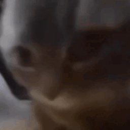 Nyu-Modpack_for_my_homies icon