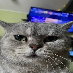 OCEBO-OCEBO_COMPANY icon