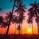 Oasis-OasisVikings icon