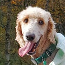 ObjectivelyPerfect-ObjectivelyPerfectModpack icon