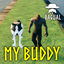 OdinPlus-MyBuddy-0.0.3 icon
