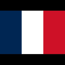 Official_VotV_Translation-Official_FR_Patch icon