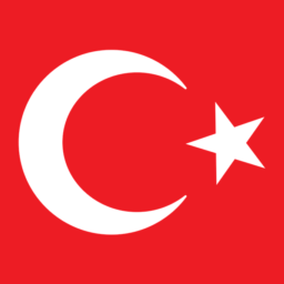 Official_VotV_Translation-Official_TR_Patch icon