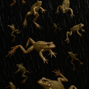 Omniscye-Frogpocalypse icon