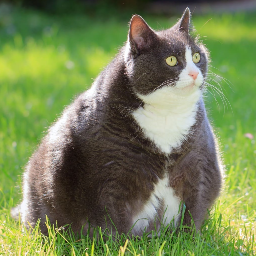 Omniscye-Tubby_Wubby_Valuables icon