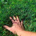 One_More_Day-GrassMainMenu icon