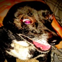 Onewaypie-OuchHouseTv icon