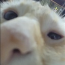 OnkelWilli-RiskofQlonesModPack icon