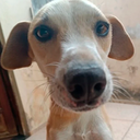 Oscaba-Modpack_dos_caba icon