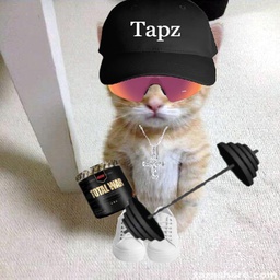 Ostepops-Ostepops icon