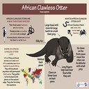 Otters-Otter_More_Suits icon