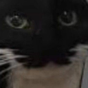 PFCMODS-PfcSuits icon