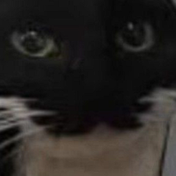 PFCMODS-PfcSuits icon