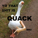 PVE_Grajki-Kaczko_Modpaczko icon