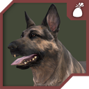 Packer-Dogmeat icon