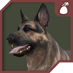 Packer-Dogmeat icon