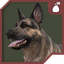 Packer-Dogmeat-1.1.1 icon