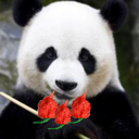 PandaNet-PandasHouseOfPainModPack icon