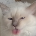 PapayaMods-LethalLuna icon