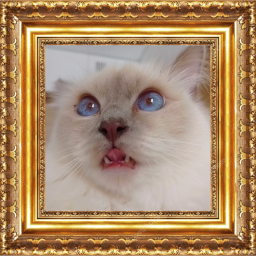 PapayaMods-Paintings icon