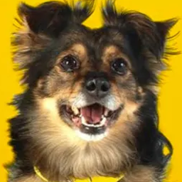 Papus_Bv-Lipigas_Dropship icon