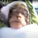 Paradigm-GamerModpack icon