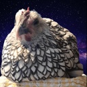 Paranormal-paranormaljetpack icon