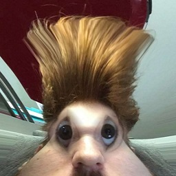 Pax_content-FeuPictures icon