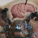 Peter-Free_Bird_Doomin icon