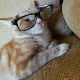 PeterPacks-ThePeterPack icon