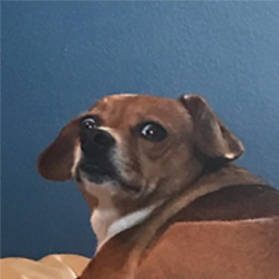 Phantoms-Doodle icon